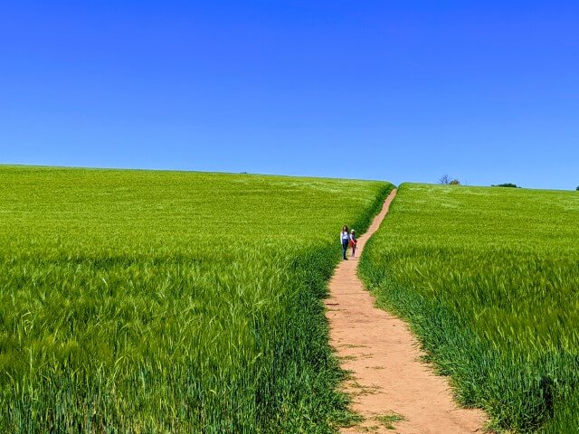 Photo of a field near Chew Magna, Somerset.